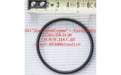 Кольцо уплотнительное ø346х3.5 гидромуфты ГТР CDM 855, 843 фото Петрозаводск
