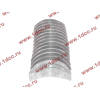 Вкладыши коренные двигателя CA6DL2 (36D) F FAW (ФАВ) 1002034A36D/1002035A36D для самосвала фото 3 Петрозаводск